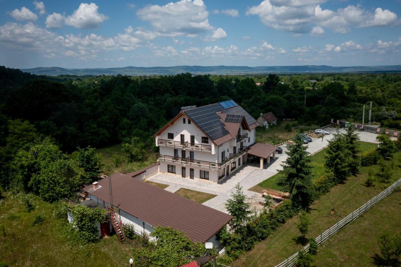 Evergreen Chalet Avrig Exterior photo