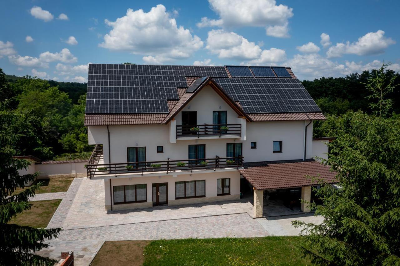 Evergreen Chalet Avrig Exterior photo